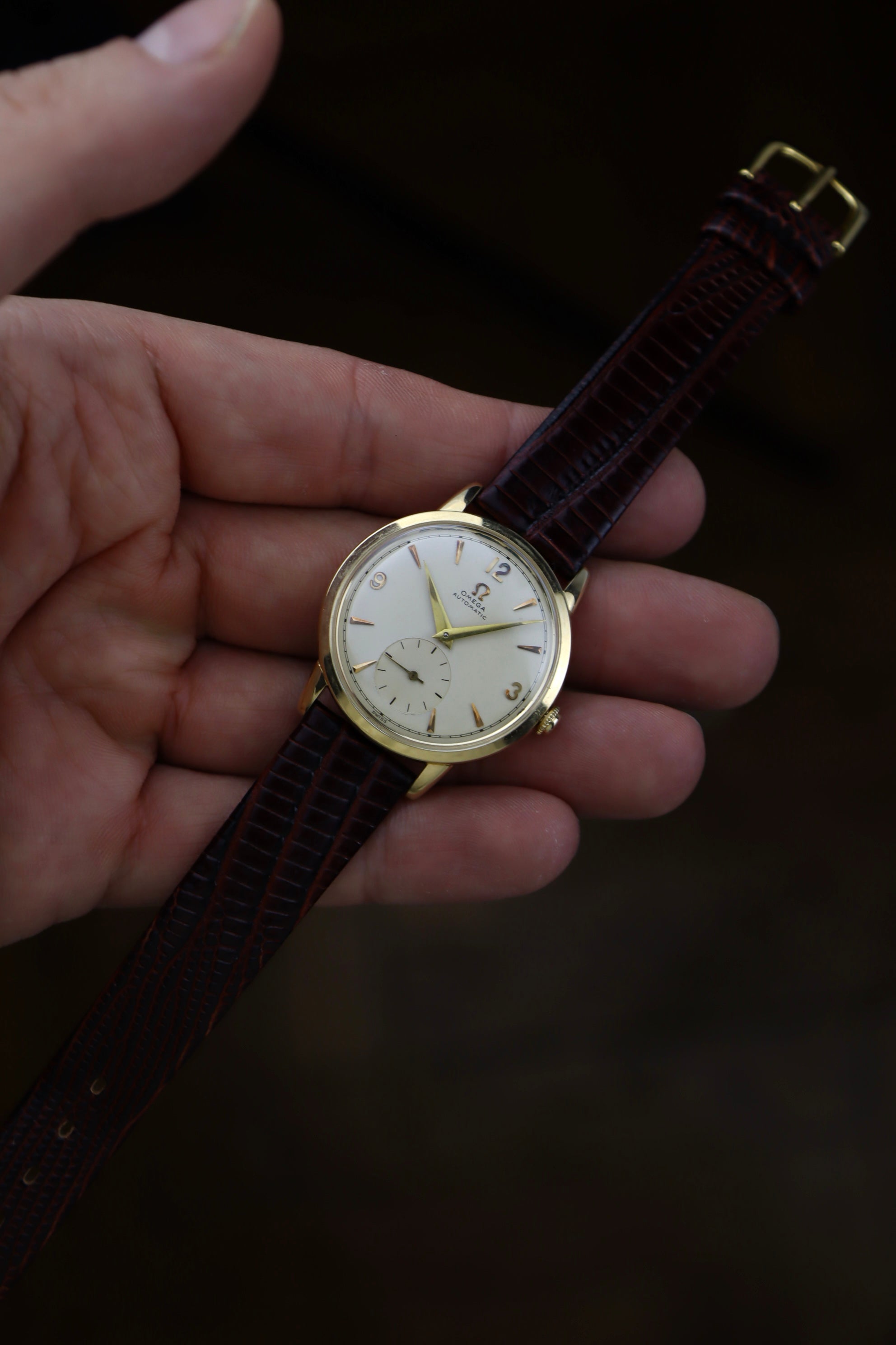 omega bumper