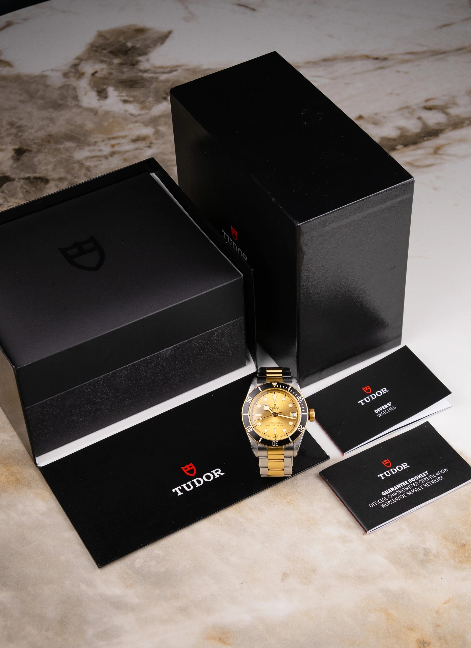 Tudor Black Bay S&G 79733N