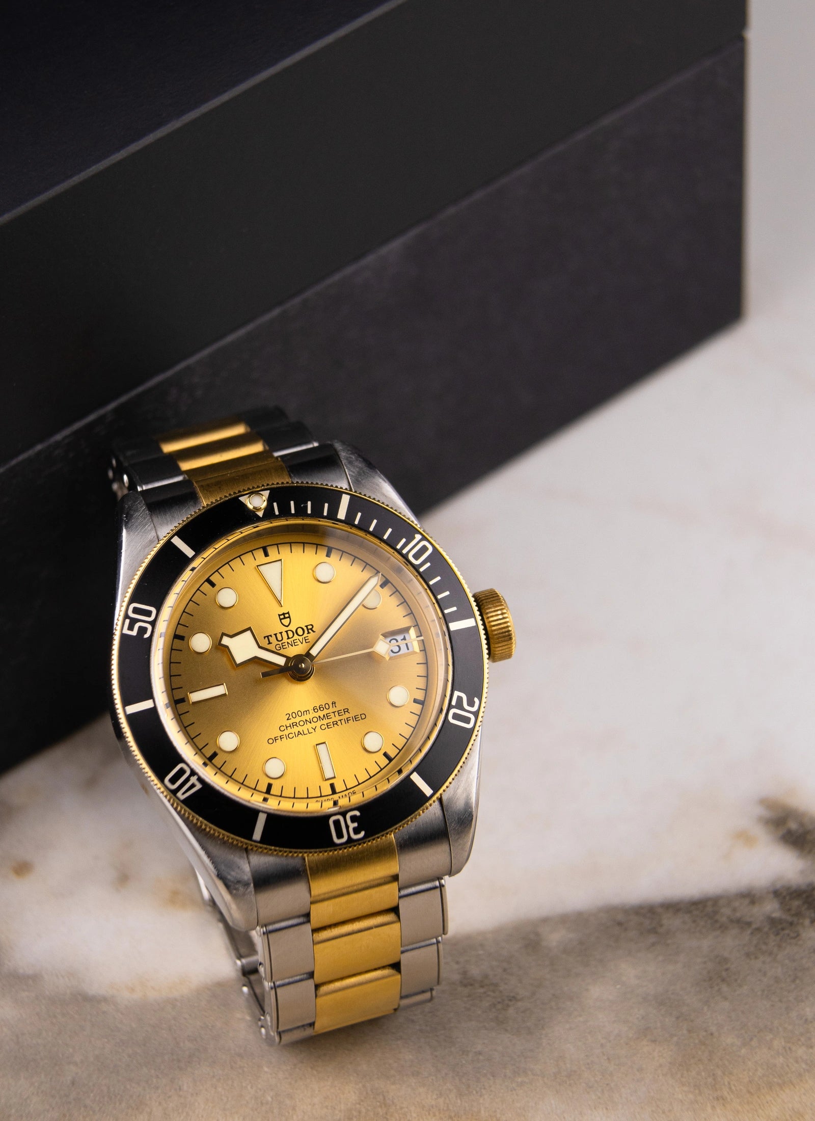 Tudor Black Bay S&G 79733N