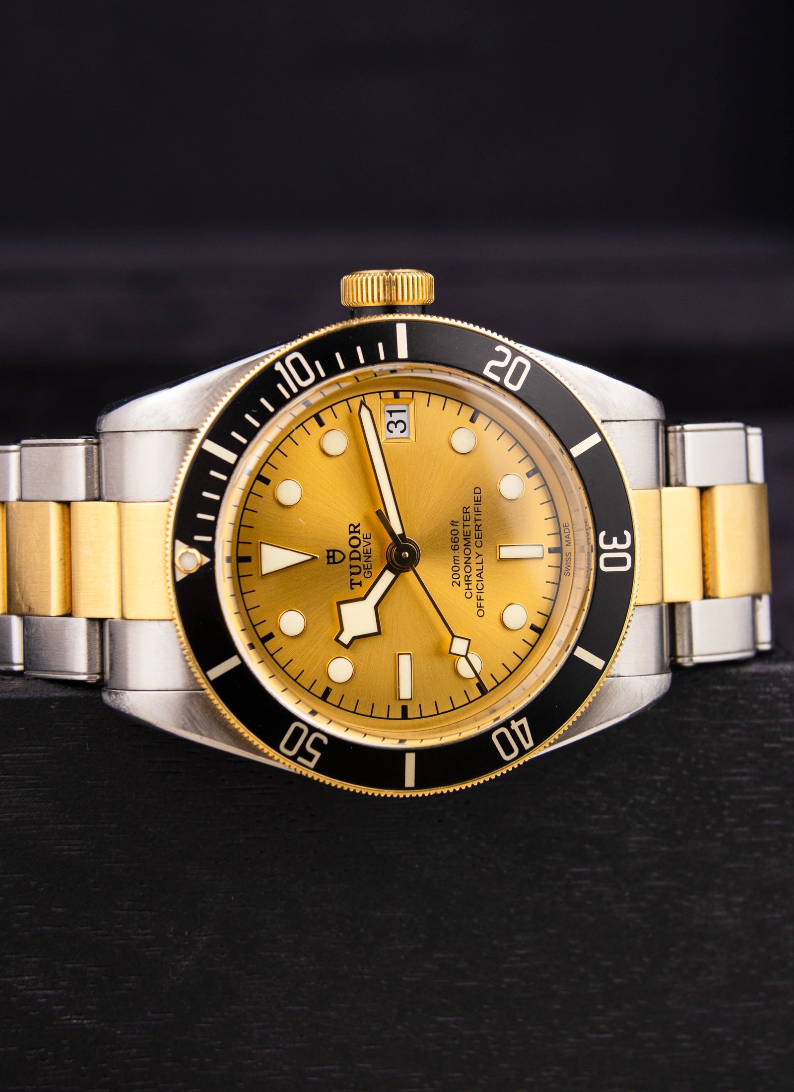 Tudor Black Bay S&G 79733N