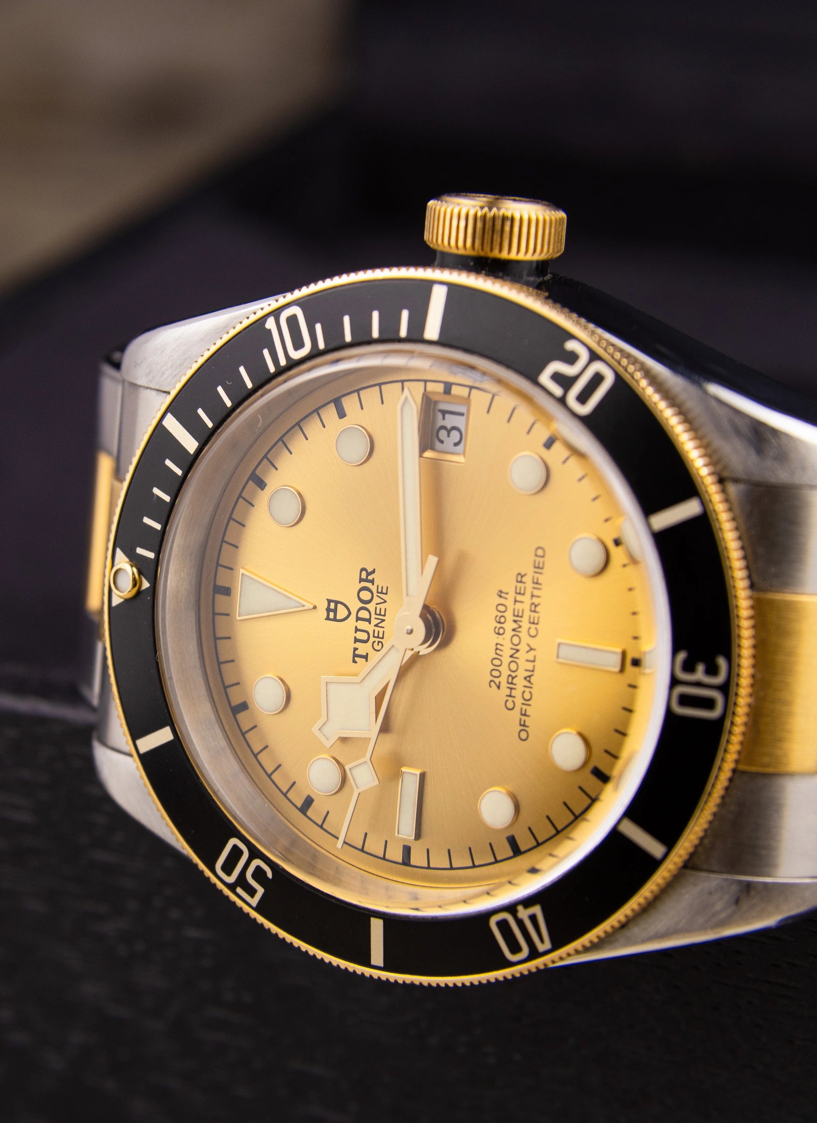 Tudor Black Bay S&G 79733N