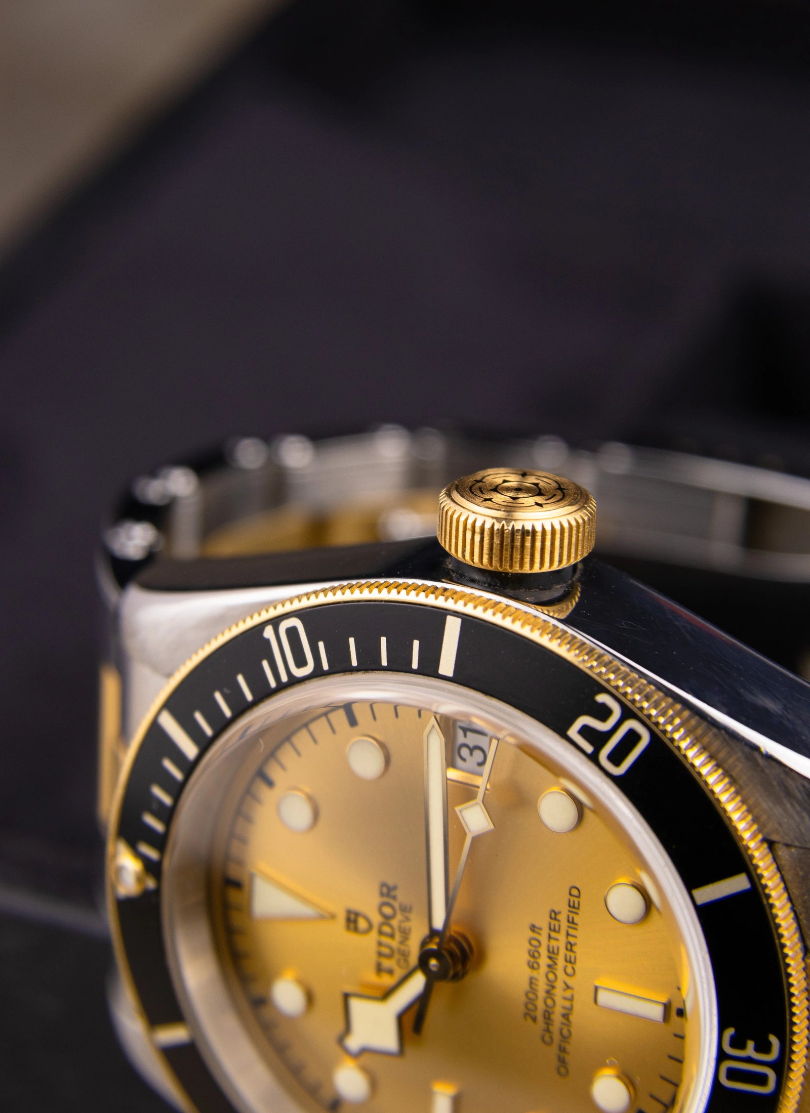Tudor Black Bay S&G 79733N