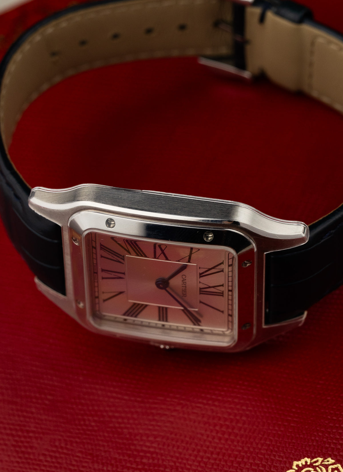 2025 Cartier Santos-Dumont LM WSSA0022/4240 Full Set NEW