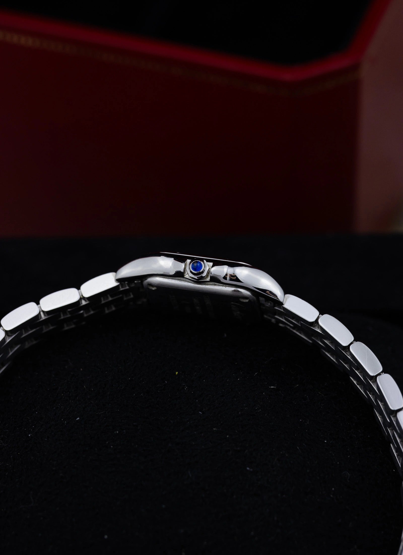 2021 Cartier Panthere Mini Full Set