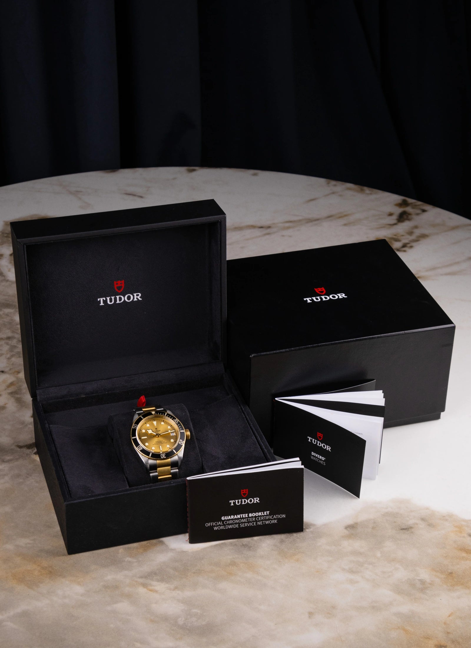 Tudor Black Bay S&G 79733N