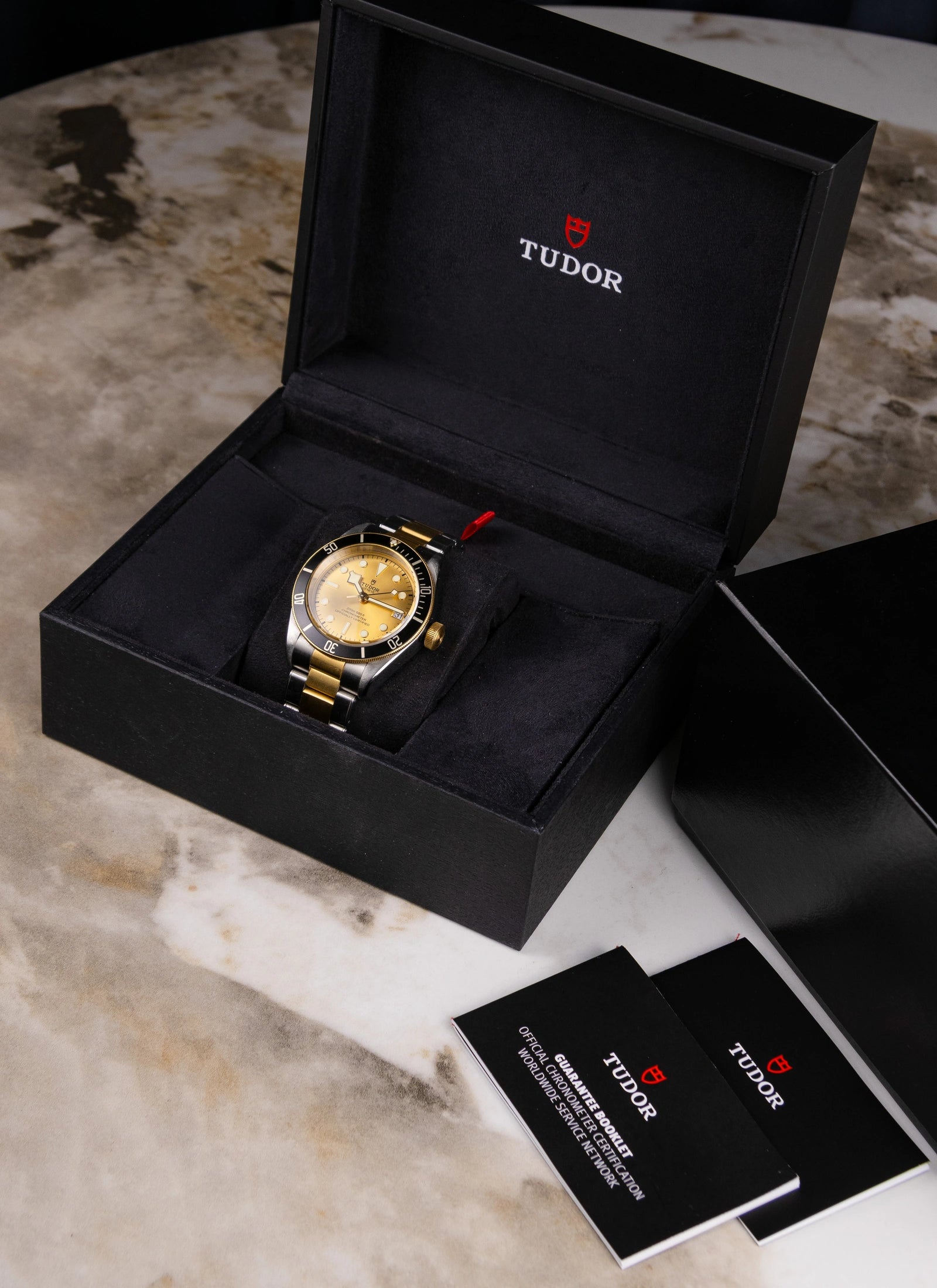 Tudor Black Bay S&G 79733N