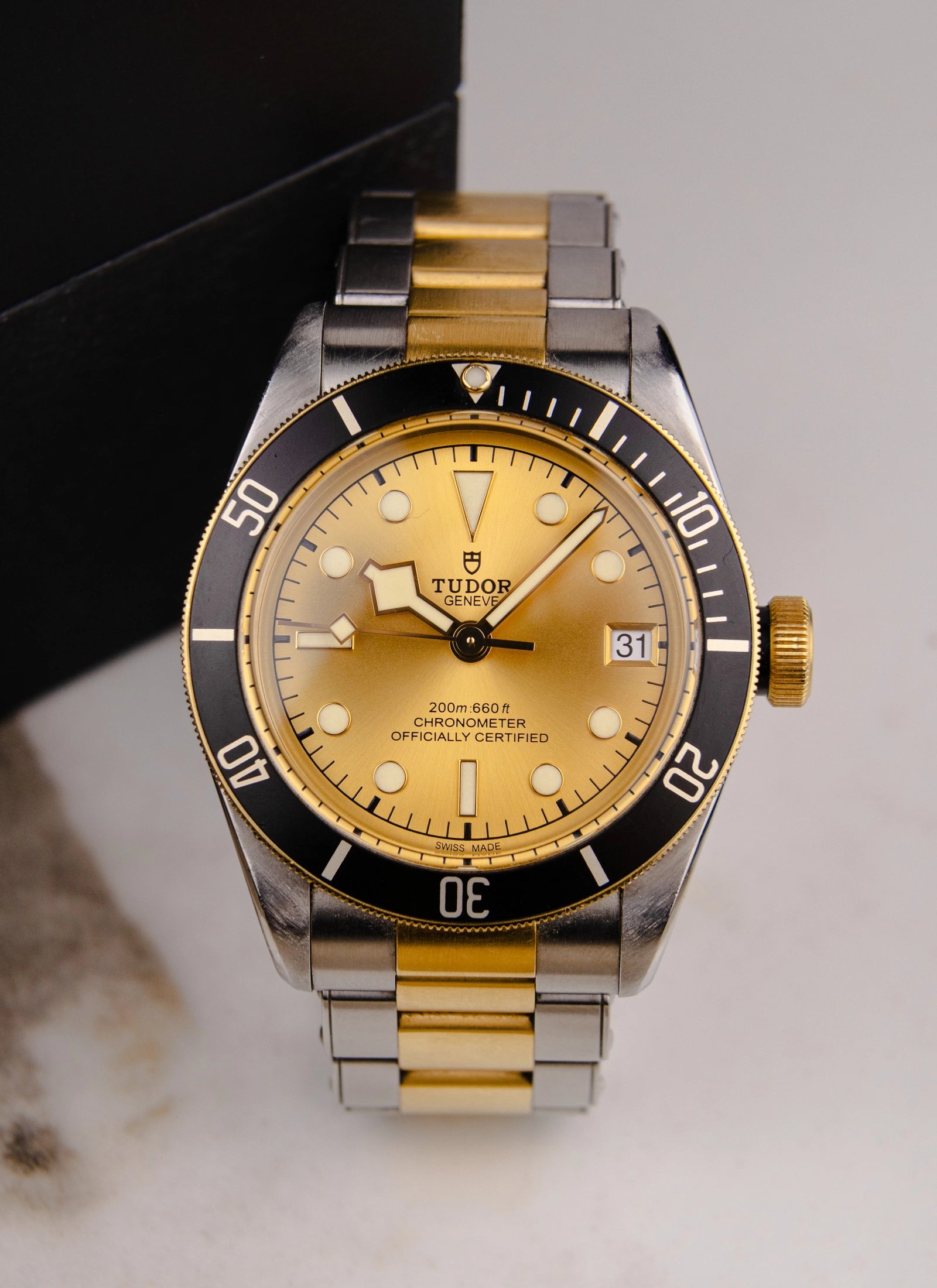 Tudor Black Bay S&G 79733N