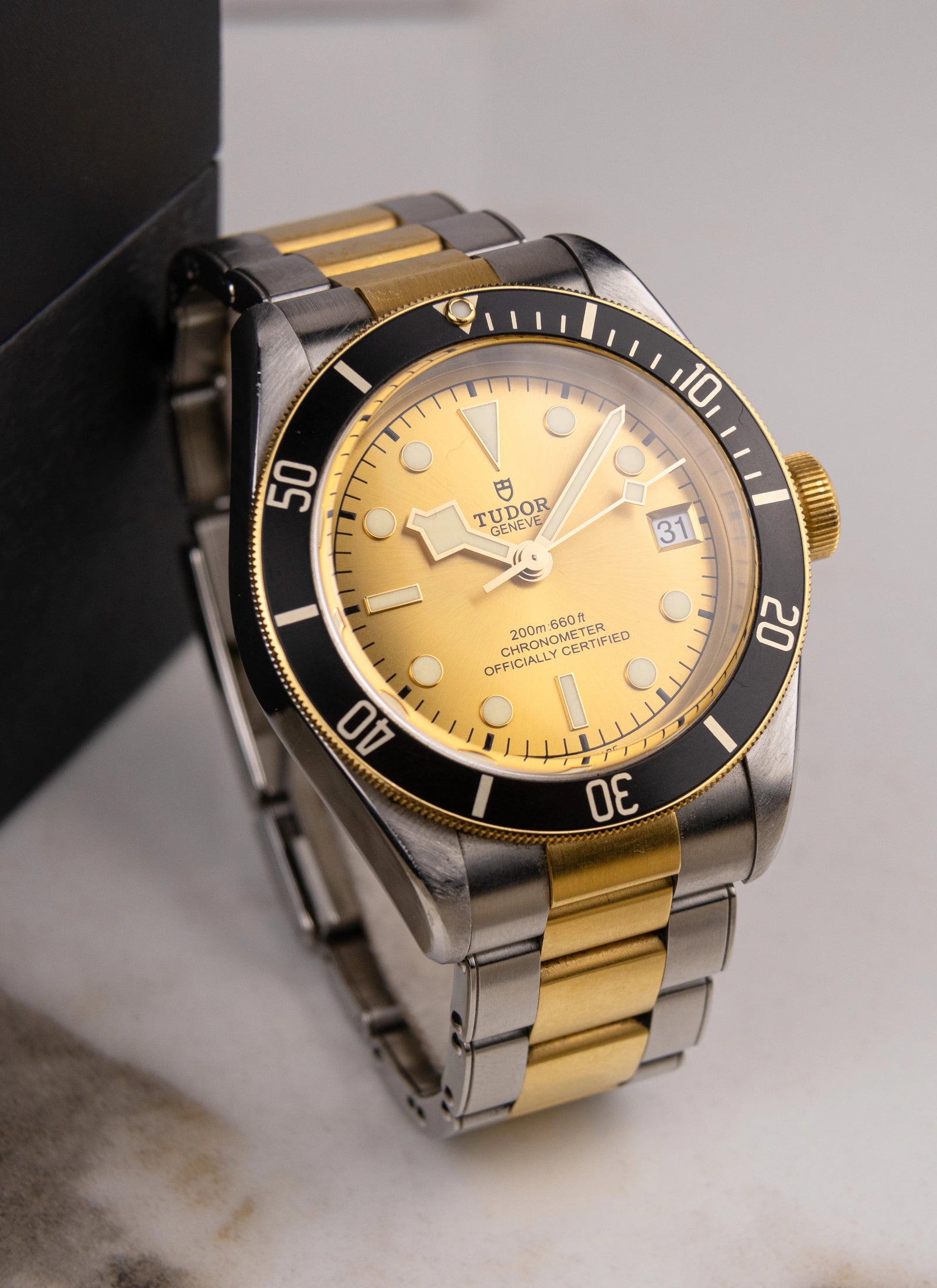 Tudor Black Bay S&G 79733N