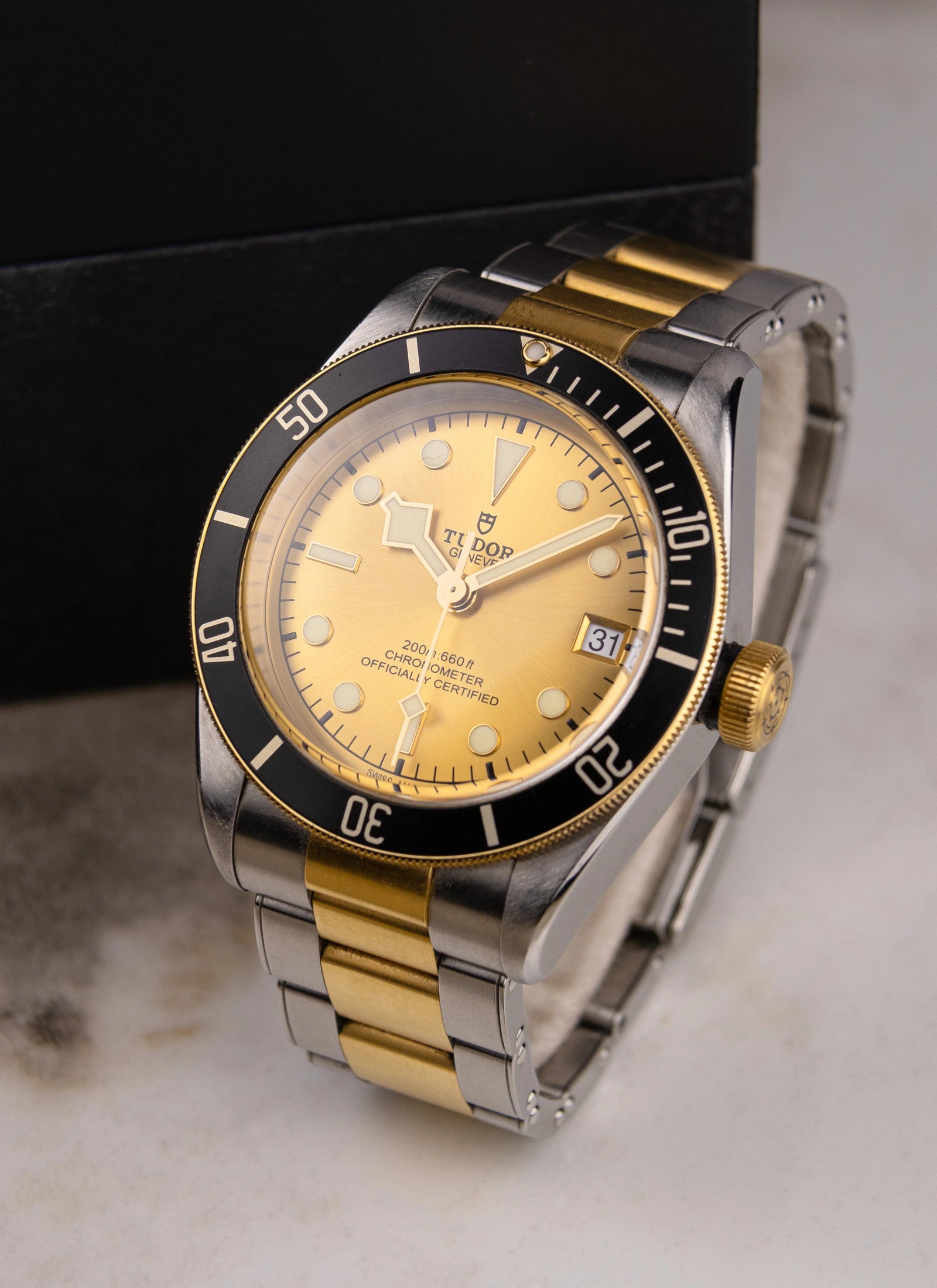 Tudor Black Bay S&G 79733N