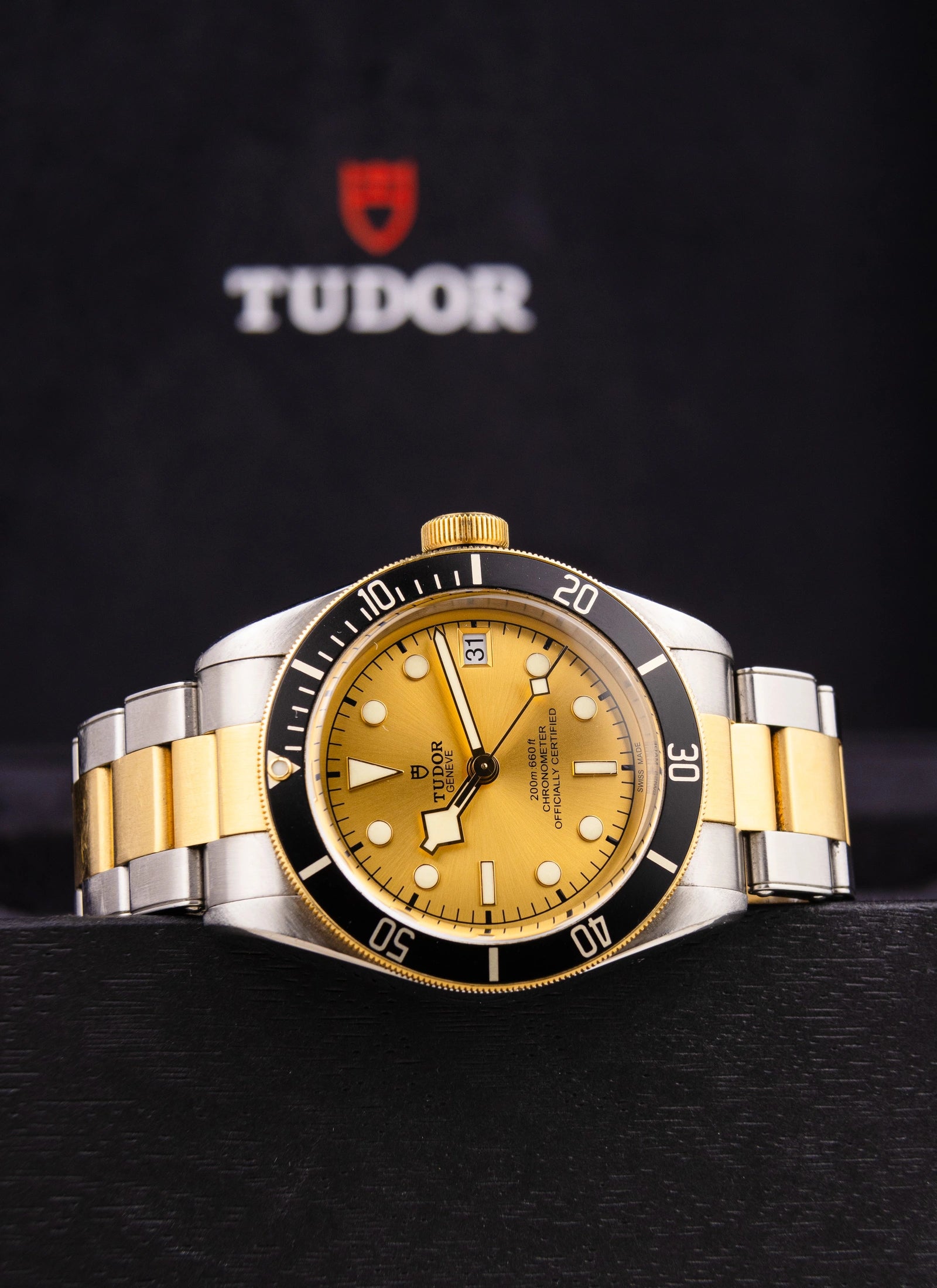 Tudor Black Bay S&G 79733N