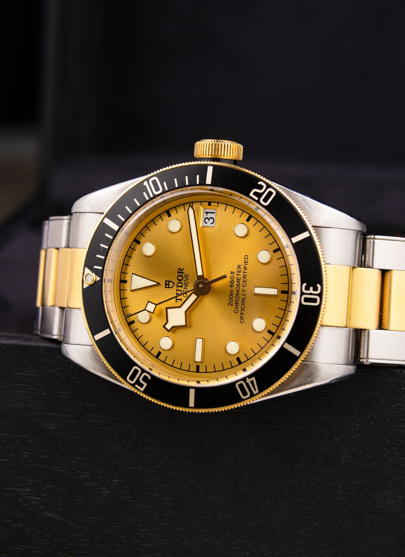 Tudor Black Bay S&G 79733N